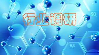 新材料 聚焦“小而精”，調研洞察化工原料需求，網絡技術研究賦能產業創新