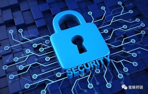 區塊鏈技術在政務服務中的應用與效率提升